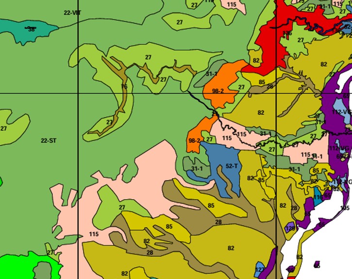 Mapa detalle